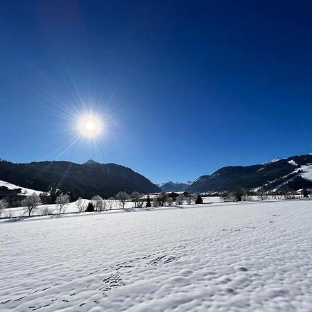 Haus Vogelmuehle Appartement Flachau Buitenkant foto