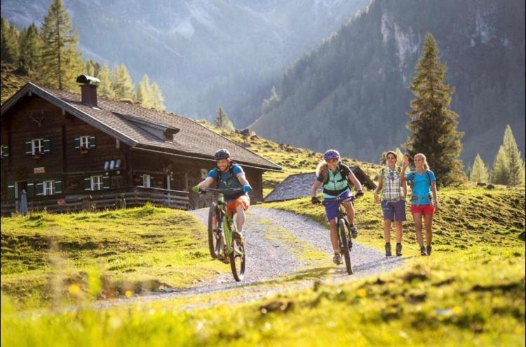 Haus Vogelmuehle Appartement Flachau Buitenkant foto